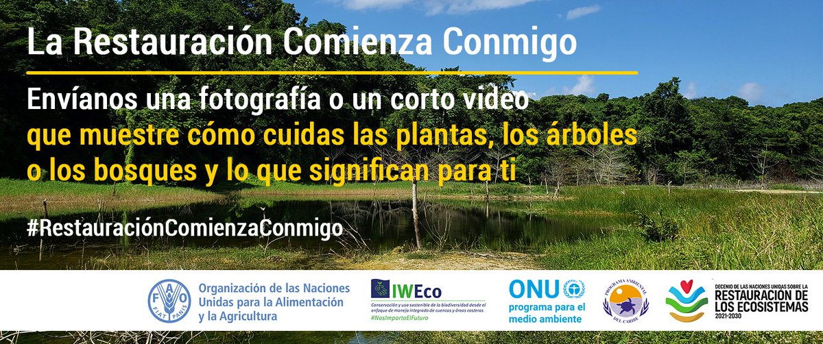 IWEco Project tweet media