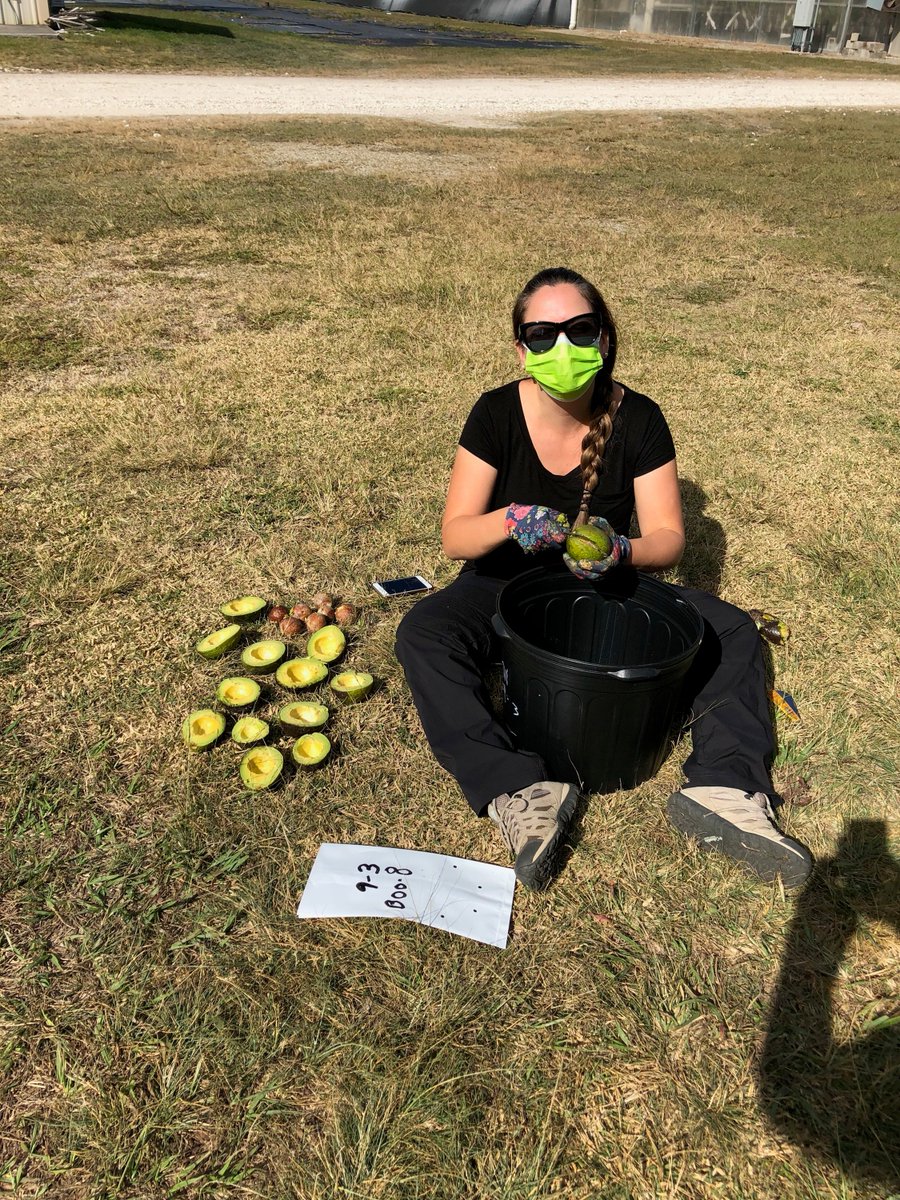 TreeHealthDoc's tweet image. On 25th day of #WomensHistoryMonth I am celebrating our collaborator, incredible #plantpathologist &amp;amp; director of @ClinicPlant, Dr. Romina Gazis. Her #research is focused on #microbial #diversity, #fungal #endophytes &amp;amp; #HostPathogenInteractions. 
trec.ifas.ufl.edu/faculty/romina…