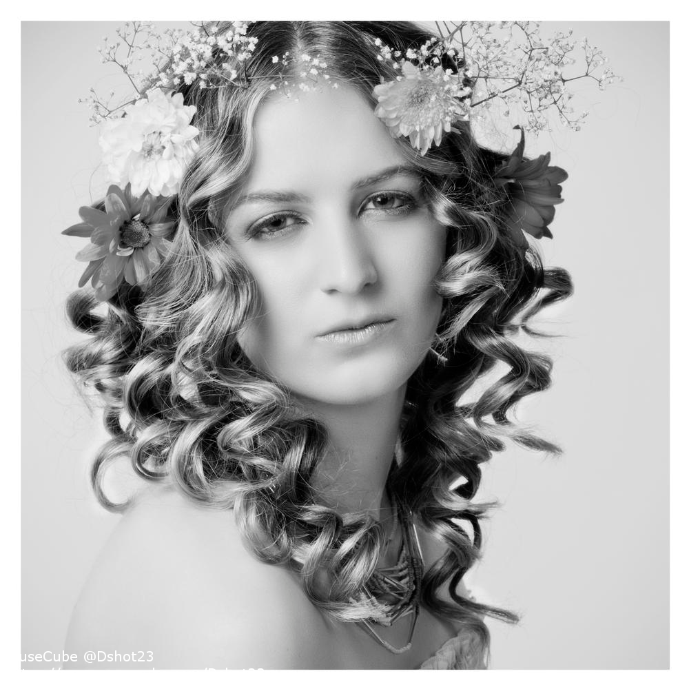 MuseCube tweet media