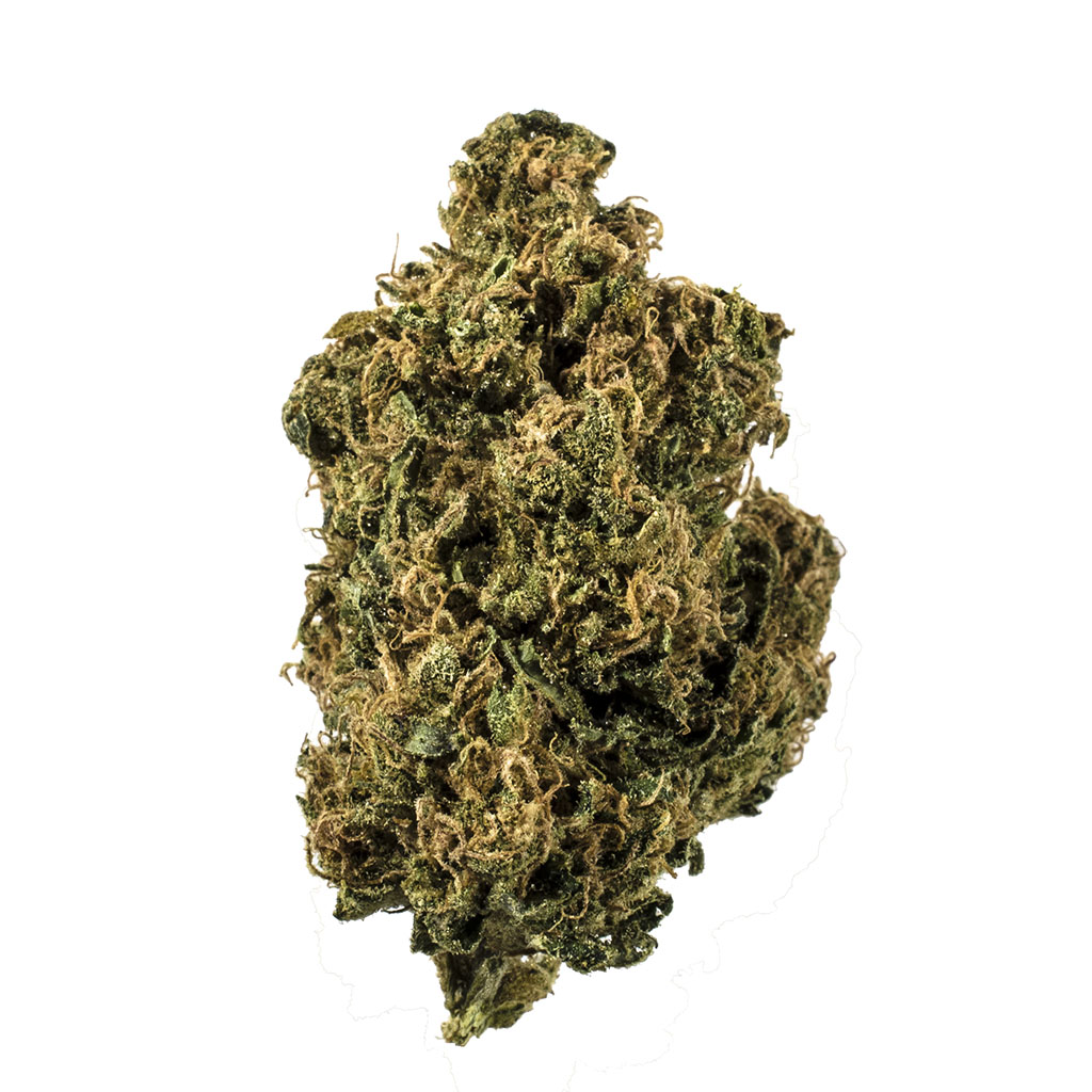 LivWellCannabis's tweet photo. Got the munchies? We've been there! Check out our blog to see our post about pairing marijuana and food together. Spoiler alert! We paired this strain with pizza π #HowILivWell https://t.co/HOxsNyQcSo https://t.co/0M1Jo3QWL9