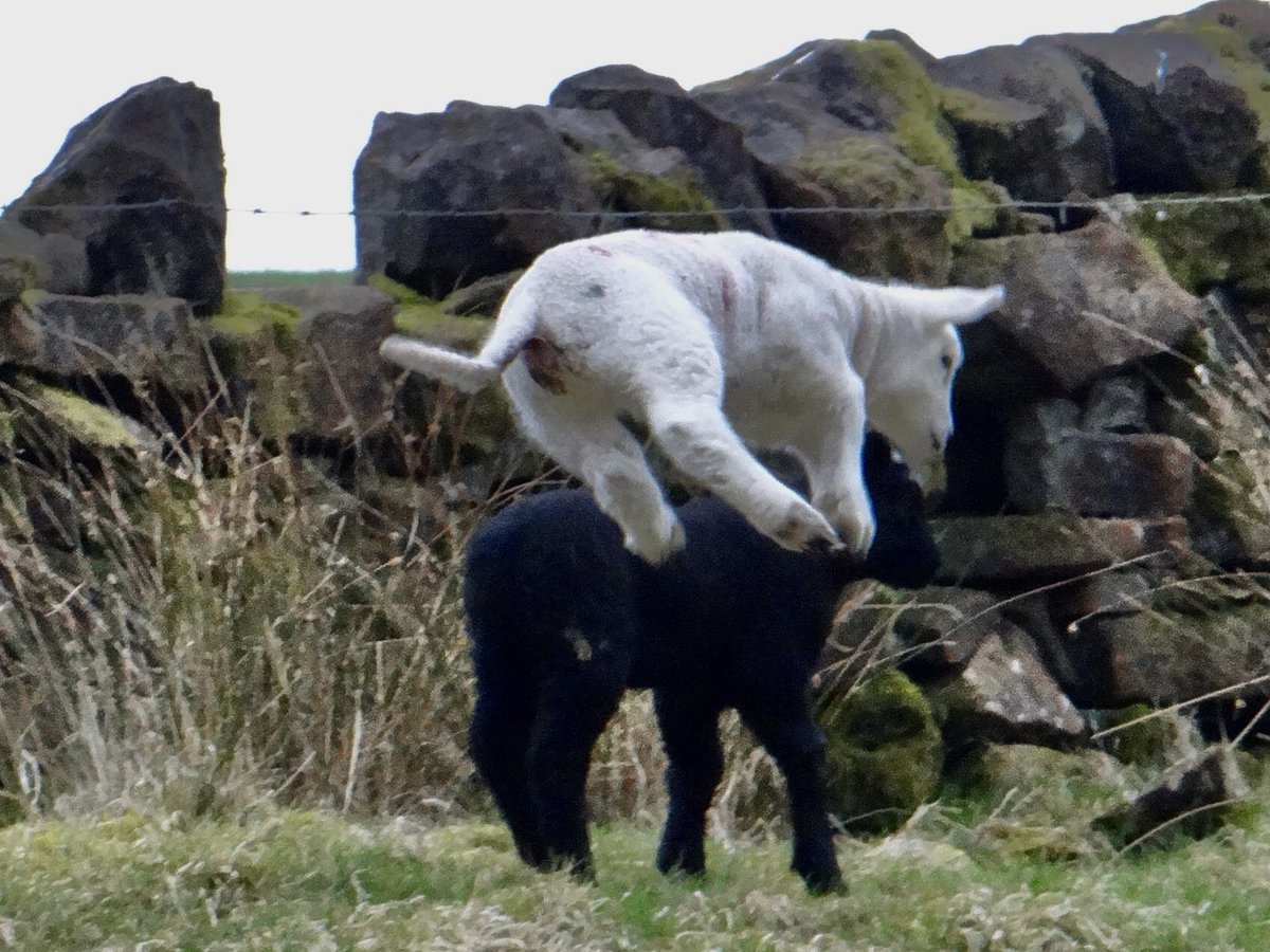 Bob Glaister tweet media