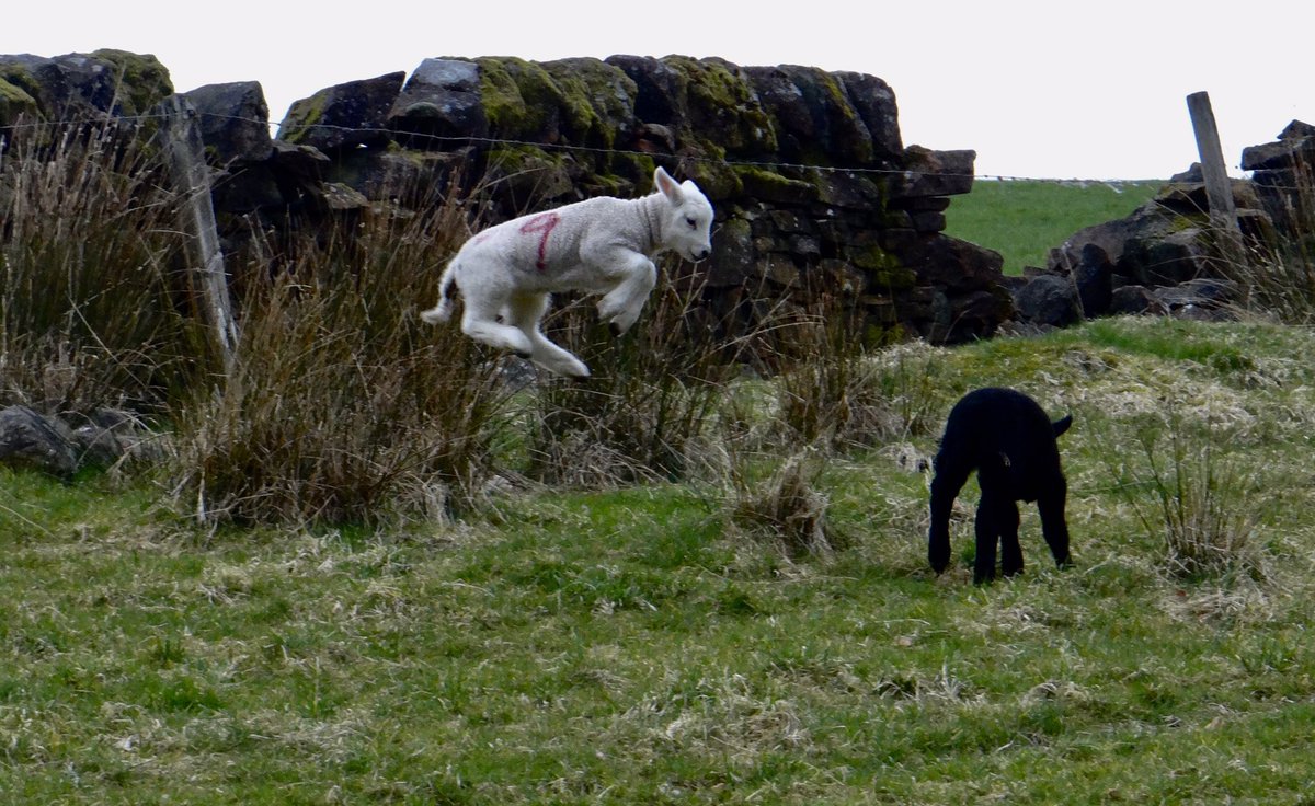 Bob Glaister tweet media