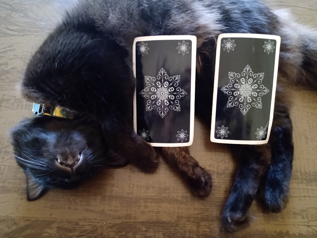 imperafer's tweet photo. Salem quer lhe trazer um conselho amoroso! ✨🦋✨
Escolha uma carta, e deixa sua intuição lhe guiar...
Fav e de RT, pra que essa mensagem chegue em mais pessoas. 
Resultado quentinho pra vocês amanhã às 19hrs. https://t.co/y3h3KpxM7F