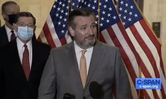 SilwanJ's tweet photo. Ted #Cruz  denies reporter's request to wear a mask: 'You’re welcome to step away if you’d like'

"Brave" journalists.... https://t.co/aXYQFt8O4t