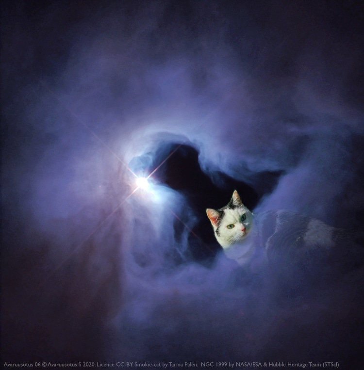avaruusotus's tweet photo. Hellow!

#avaruusotus #avaruus #space #spaceart #pets #digitalart #artistsoninstagram #hubble #nebula #cat #nasa https://t.co/SlFvAZzuzx