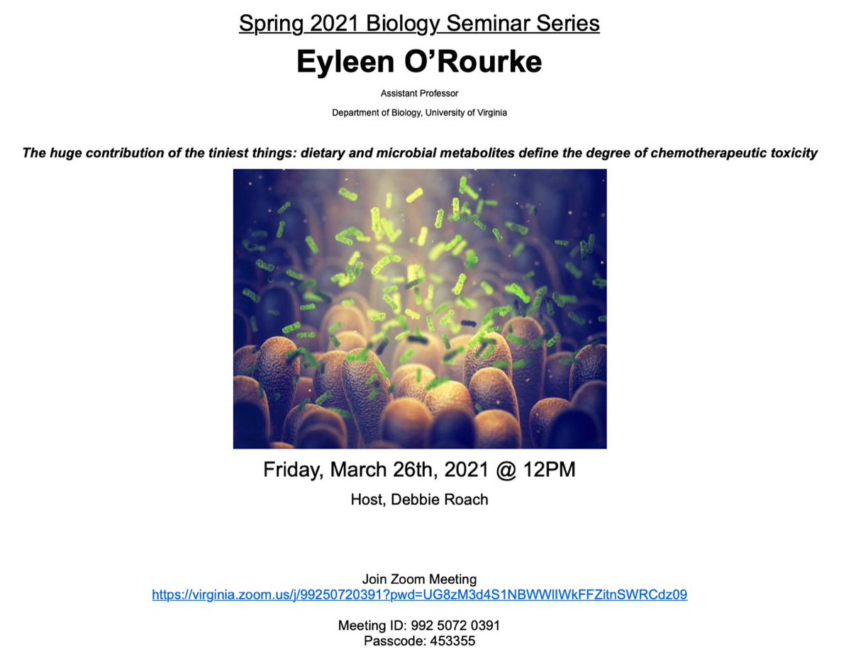 UVA_TUMI's tweet photo. Eyleen O'Rourke from UVA's Bio Dept will be presenting her work on the microbiome's and diet's effects on chemotherapeutic toxicity. Tune in via Zoom on March 26th at 12PM! https://t.co/R2pT0dCE4m