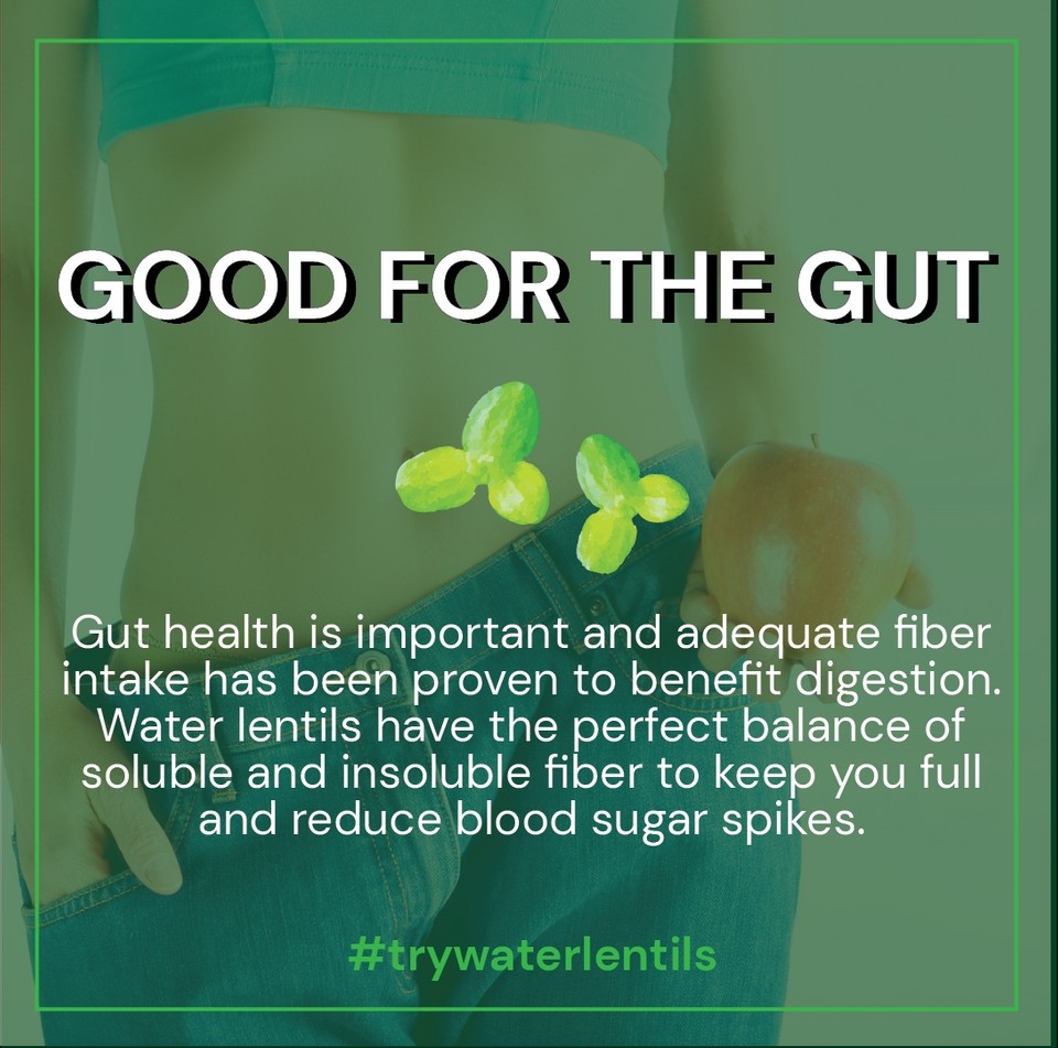 waterlentils's tweet photo. Water Lentils promote promote gut health!

#vegan #cleaneating #eatclean #health #healthyfood #vegansofinstagram #plantpower #lentein https://t.co/qKVVIdVLlV