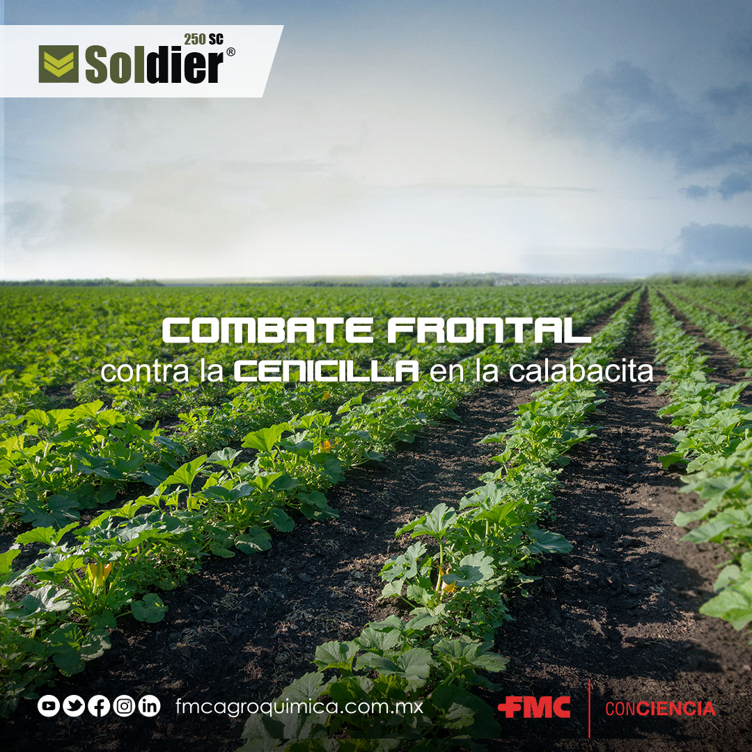 Protege tus cucurbitáceas con Soldier😉👍, el fungicida inteligente que te da una #ProtecciónConCiencia más completa.🤠🌱