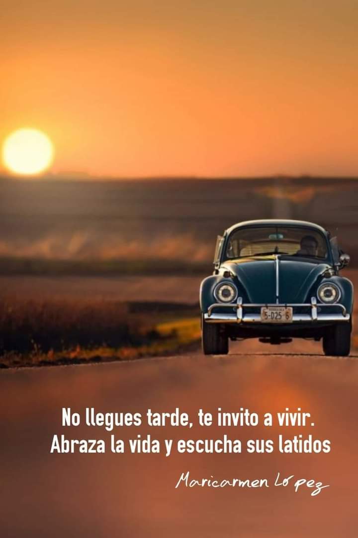 Beagmontejo tweet picture