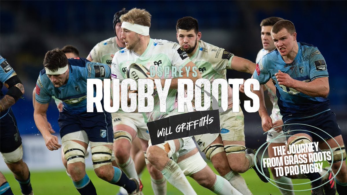 Ospreys tweet media