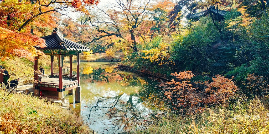 junmiguel_lee's tweet photo. 창덕궁은 어느 계절에 가도 다 좋더라. https://t.co/IkoKaY1PHC