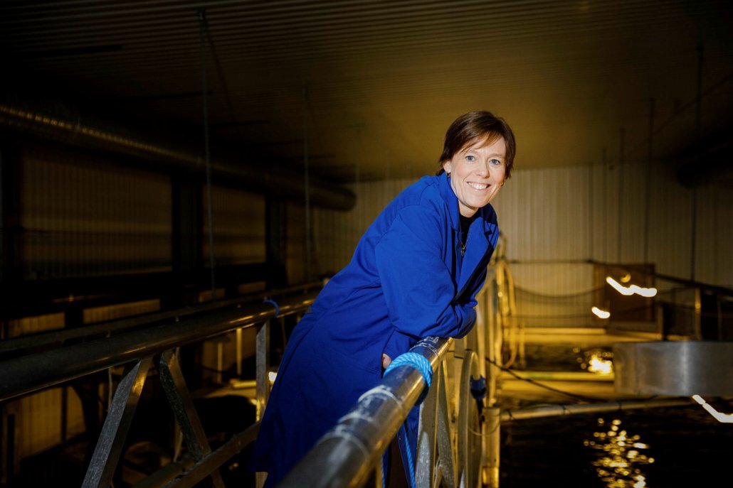 Nofima (@nofima) on Twitter photo #H2020 project <a href="/futureeuaqua/">FutureEUAqua 🐟</a>, coordinated by Nofima, has published a "Statement in support of the European Commission’s plans to boost organic aquaculture":
futureeuaqua.eu/index.php/2021…
#organicEU #farmtofork #seatofork #greendeal 🌱🌊🐟🐚🦐 #H2020 project <a href="/futureeuaqua/">FutureEUAqua 🐟</a>, coordinated by Nofima, has published a "Statement in support of the European Commission’s plans to boost organic aquaculture":
futureeuaqua.eu/index.php/2021…
#organicEU #farmtofork #seatofork #greendeal 🌱🌊🐟🐚🦐