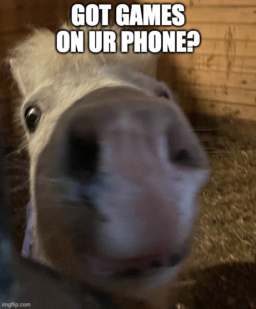 dakdakdakotav's tweet photo. yall got games on your phone? #mobilegaming #MCO335 https://t.co/dLiZAq1GaA