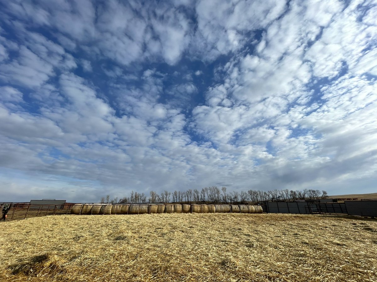 it’s a great day to have a great day