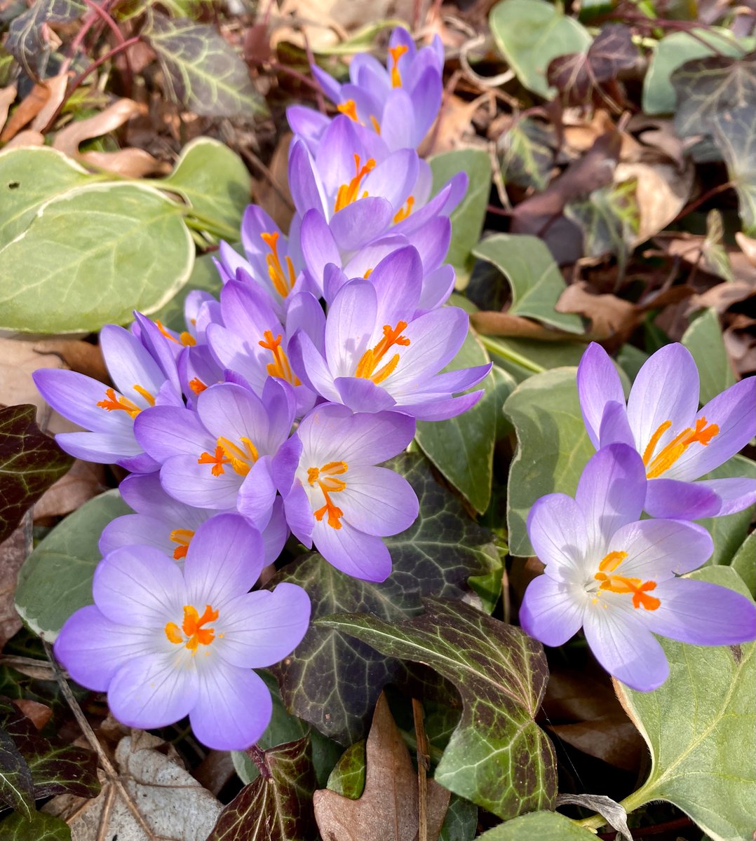 WalkerSusanJ tweet picture