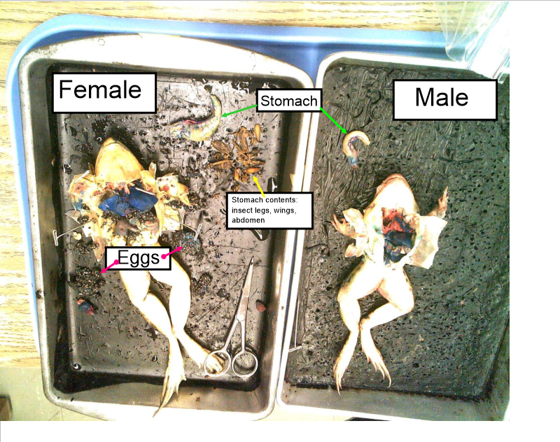 Soeder and Lee tweet media
