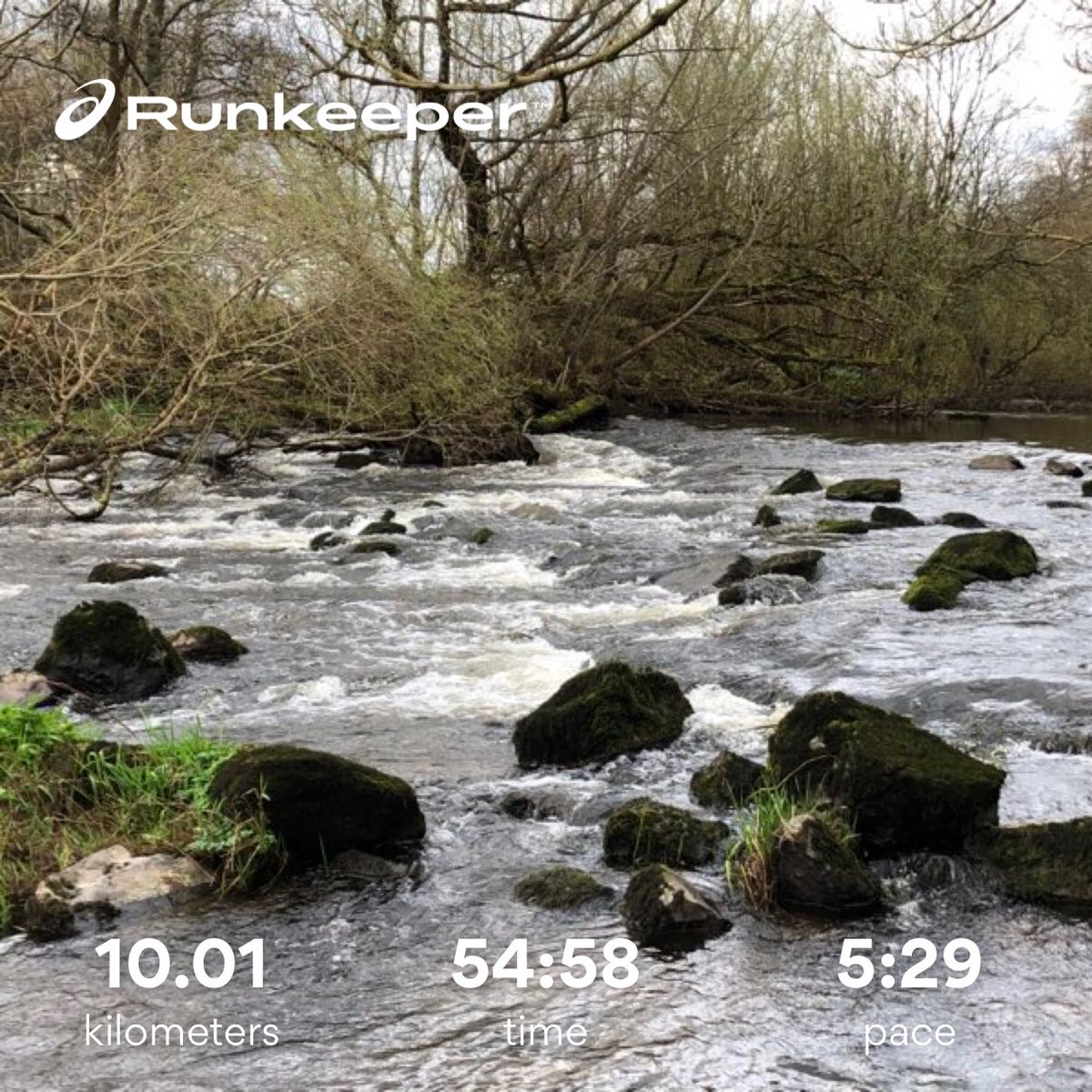 seamus_oconner's tweet photo. 9K done.  9 Euro’s donated.  9 people nominated. #999forthefrontline #ExerciseIsMedicine #Veteran #Marines #USMarines #exercise #running #LSPLentChallenge #MarchToTheRink #iceforireland #Limerick #Ireland #sportsandexercisescience 🇺🇸☘️🇮🇪 https://t.co/6jvEEAcC9x