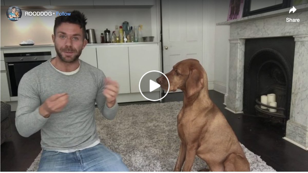 Emerald Life tweet media