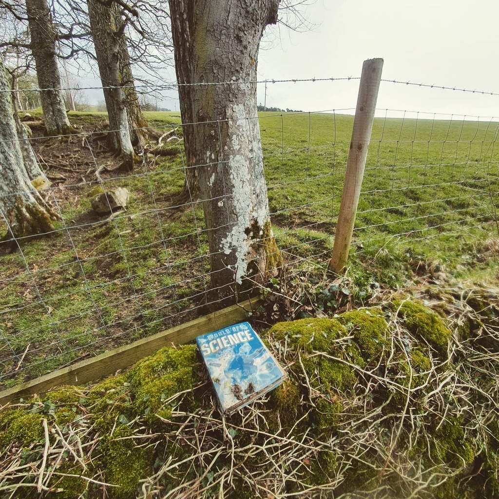 running_breeze's tweet photo. This book has a story to tell!
OK, all books have a story to tell, I'm saying this mouldy tome probably has an extra one. How did it end up on top of a dry stone wall next to a main road, where forest meets field? It must have been placed there but was i… https://t.co/OA3A2rE5NR https://t.co/dnE0FcZVy4