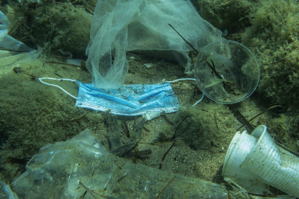 #DYK According to a report by OceansAsia, the massive increase in the number of #masks being used resulted in an estimated 1.56 billion of them ending up in our oceans. #Facemasks take as long as 450 years to break down, providing a source of microplastics for centuries. #plastic