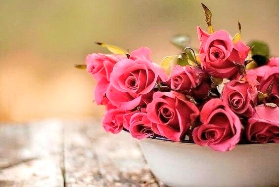 Lakshmeeshsagar's tweet photo. @roopakishore5 I and my family wishes to your
New
Showroom
Of
#POTLOVERS.
All the best.
ತಂದೆ ತಾಯಿಯಂದಿರ
ಗುರು ಹಿರಿಯರ ಆಶೀರ್ವಾದ
ಸ್ನೇಹಿತರ ಶುಭ ಹಾರೈಕೆಯಿಂದ
ನಿಮ್ಮ ವ್ಯಾಪಾರೋದ್ಯಮ
ಚೆನ್ನಾಗಿ ನಡೆಯಲಿ.
ನಮ್ಮ ಶುಭಾಶಯಗಳು ಶುಭವಾಗಲಿ https://t.co/Y8xDSxWu2g