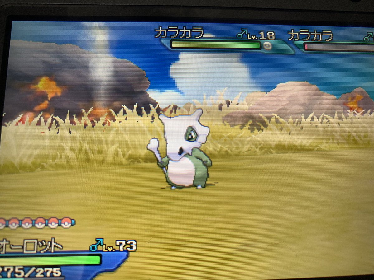 ソードシールド カラカラの種族値 わざ 特性など能力と入手方法 ポケモン剣盾 攻略大百科