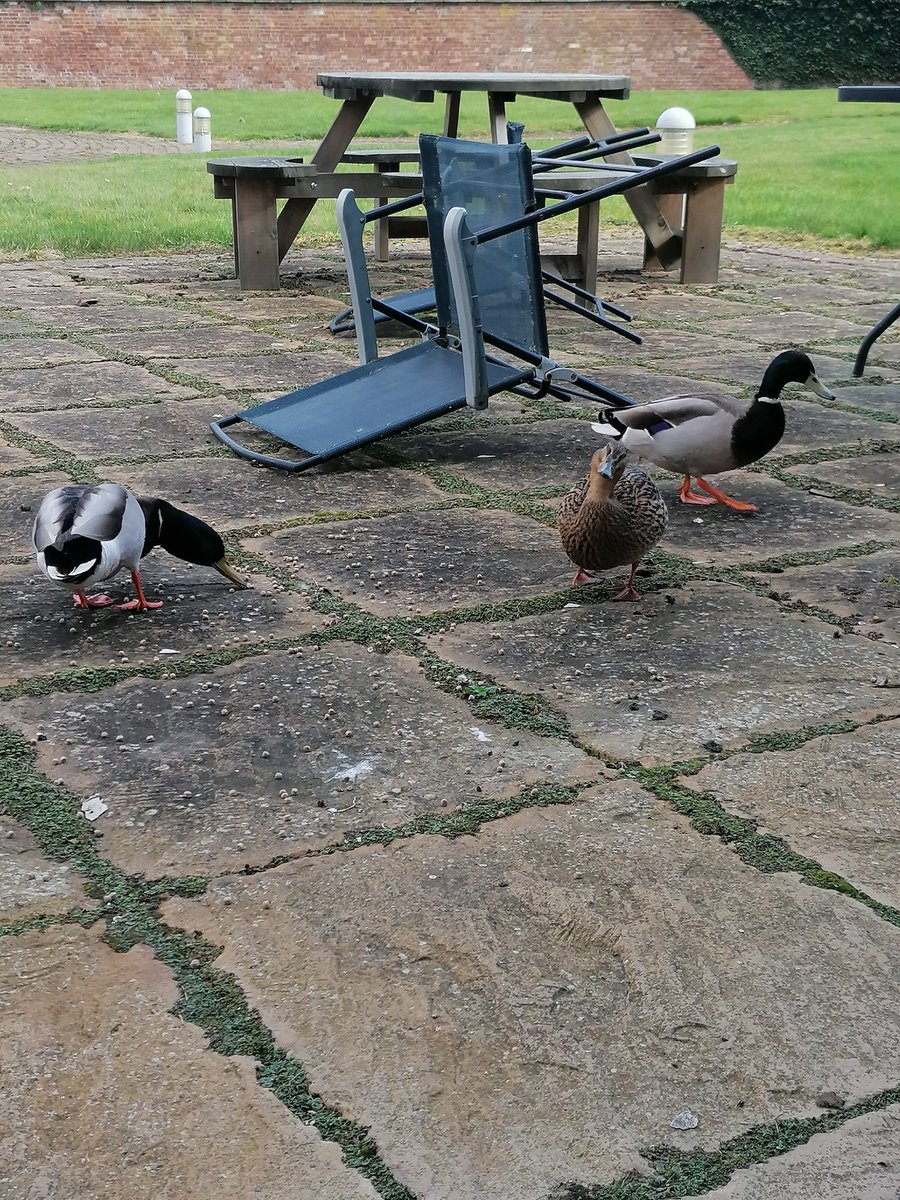 ReSPECT - Herefordshire and Worcestershire tweet media