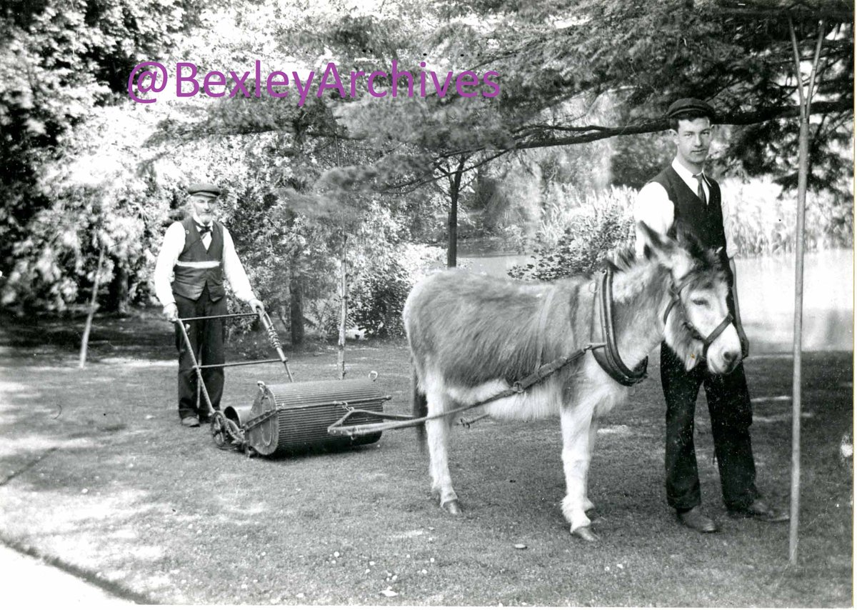 BexleyArchives's tweet photo. #SpringIsThePerfectTimeTo release our donkeys and mow our lawns just like these gardeners at Blendon Hall, Bexley are doing c1900. Alfred James Johnson is on the right. @AllandAboutSidc @BexleyLibraries @LBofBexley @GreaterErith @southeastNT https://t.co/jQndAJXpZp