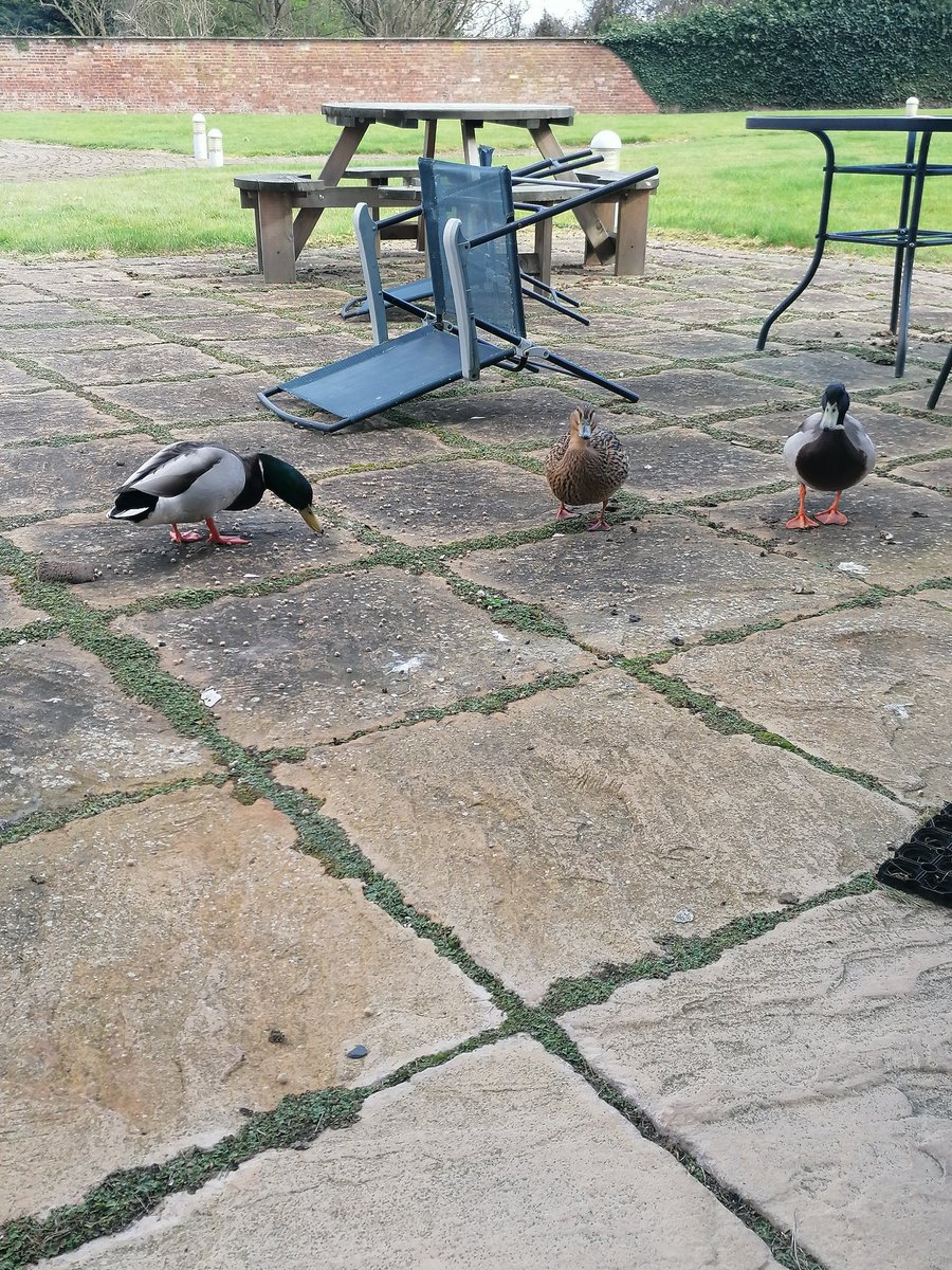 ReSPECT - Herefordshire and Worcestershire tweet media