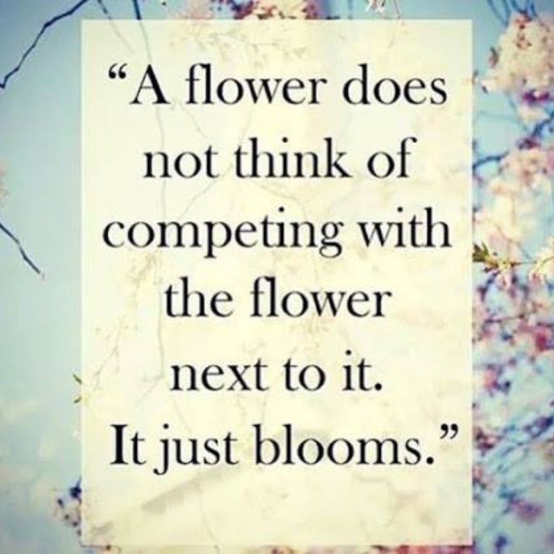 AuthLacyBentley's tweet photo. You were made to be unique! By learning to let go of comparison, we are freed to blossom into our truest selves. ❤️ https://t.co/iO5m8GviEM