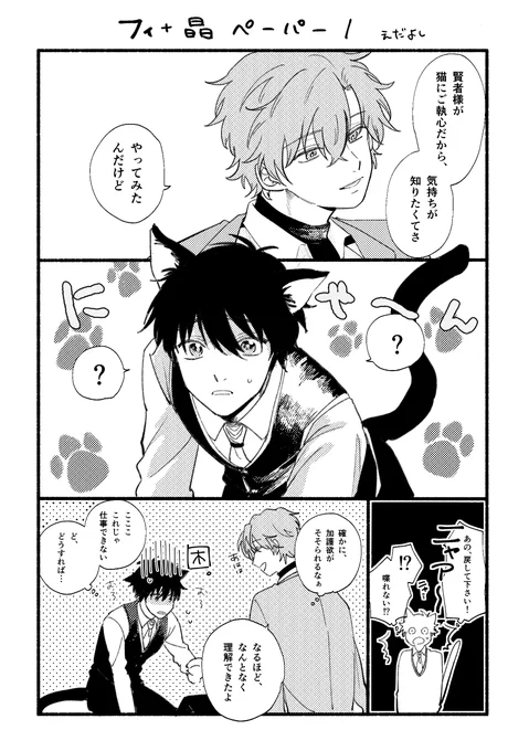ペーパーだったものです
フィ+晶
ねこちゃん 
