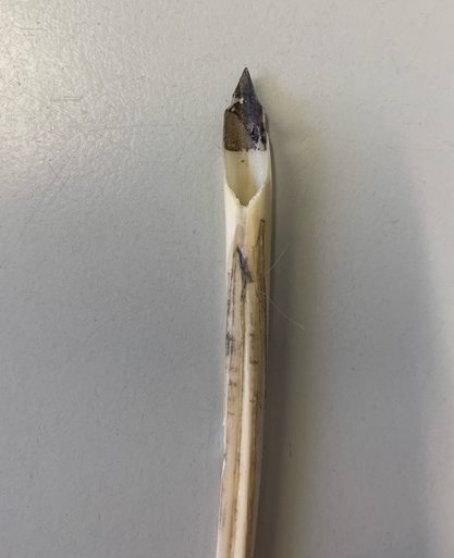 Nationaal Archief tweet media