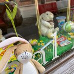Photo by Knutsford Bunny Hop (@KBunnyHop)