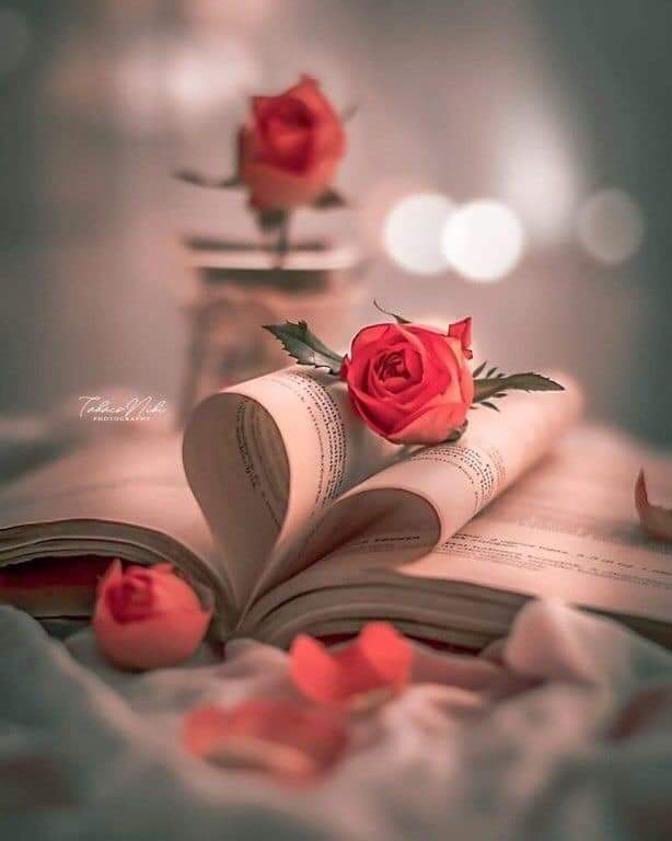 RosariaMirage's tweet photo. #eunbelmodo..

  Lasciando un bel ricordo

  Nel cuore di qualcuno

  Si diventa immortali.

       *P. Luzi*.
#unTemaAlGiorno. https://t.co/AxegXv0N4c
