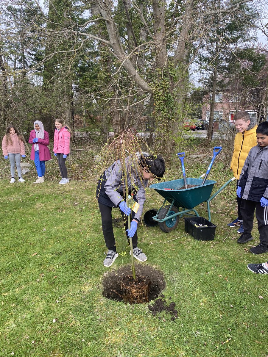 Esker_ETNS's tweet image. We planted our first tree of 2021 and named her Sally! Sally is a dwarf willow tree. Did you know that the Irish word for willow is “saileóg?” That’s how we came up with the name! @GreenSchoolsIre @LEAFIreland #NationalTreeWeek2021 #biodiversity