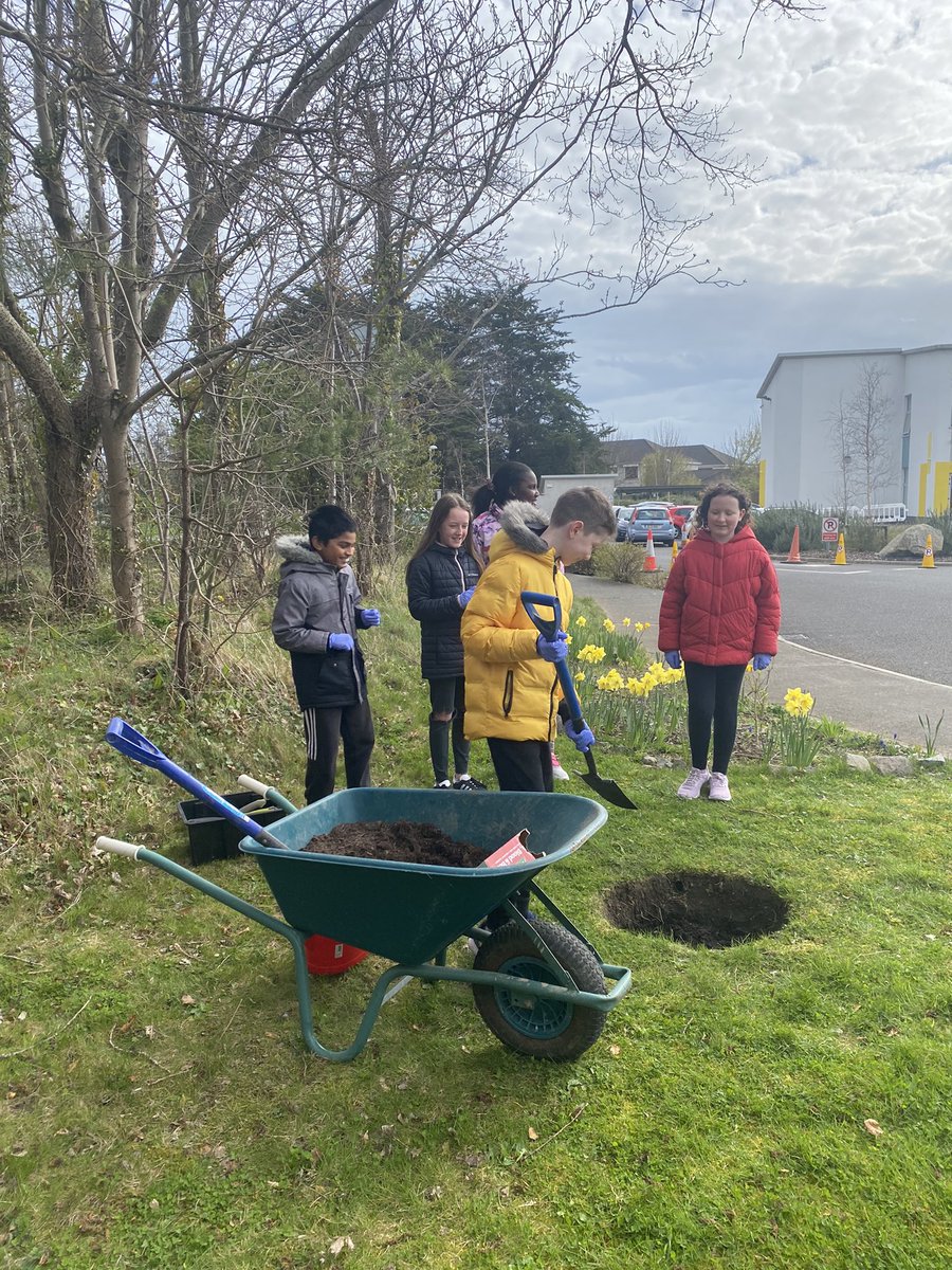 Esker_ETNS's tweet image. We planted our first tree of 2021 and named her Sally! Sally is a dwarf willow tree. Did you know that the Irish word for willow is “saileóg?” That’s how we came up with the name! @GreenSchoolsIre @LEAFIreland #NationalTreeWeek2021 #biodiversity