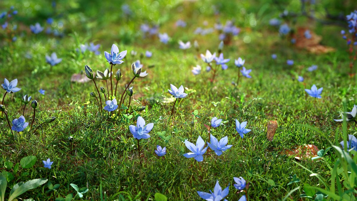 CgSuperb's tweet photo. This is a set of realistic wildflowers—Lomatogonium—with 7 differrent shapes, made with Blender 2.82. There are middle polys and low polys support close shots. 
https://t.co/LkvVzwJgwq
#3Dmodels  #Environment #Plants #Blender #Resources #3d #blender #3dmodeling #3danimation https://t.co/xlgWwwFFkT