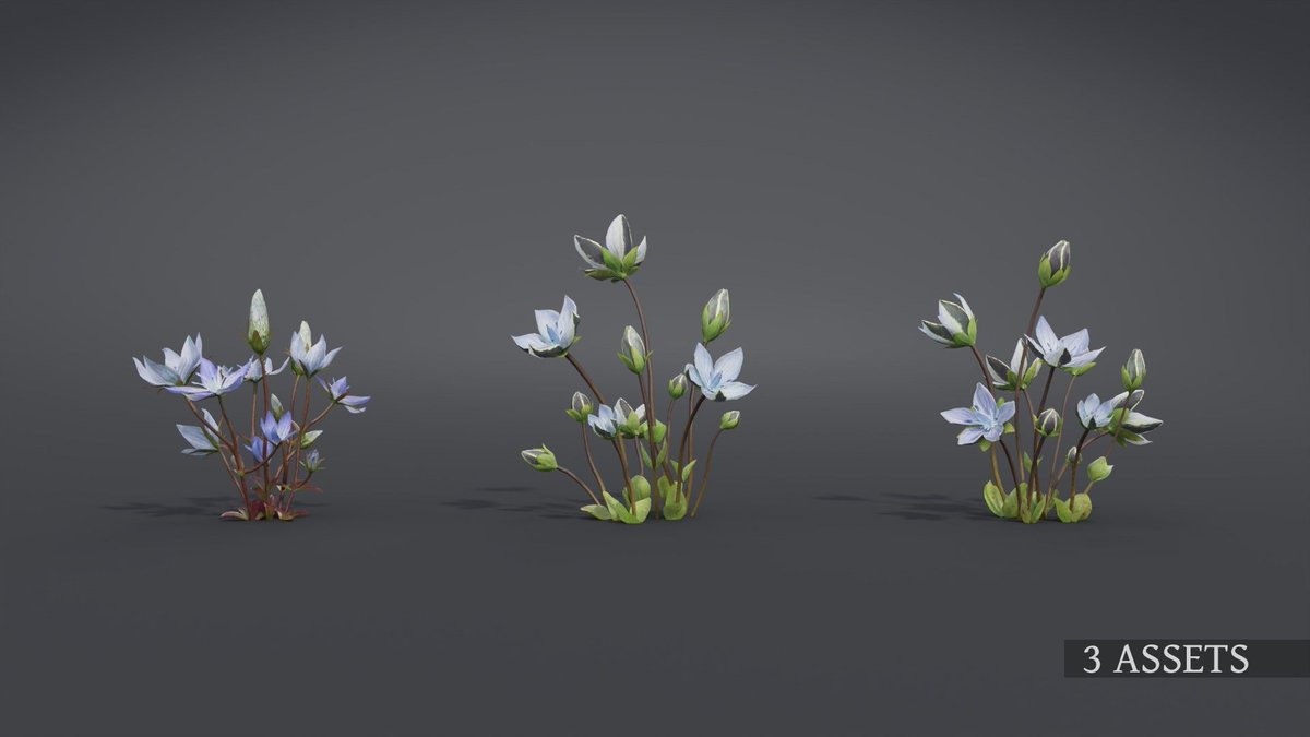 CgSuperb's tweet photo. This is a set of realistic wildflowers—Lomatogonium—with 7 differrent shapes, made with Blender 2.82. There are middle polys and low polys support close shots. 
https://t.co/LkvVzwJgwq
#3Dmodels  #Environment #Plants #Blender #Resources #3d #blender #3dmodeling #3danimation https://t.co/xlgWwwFFkT
