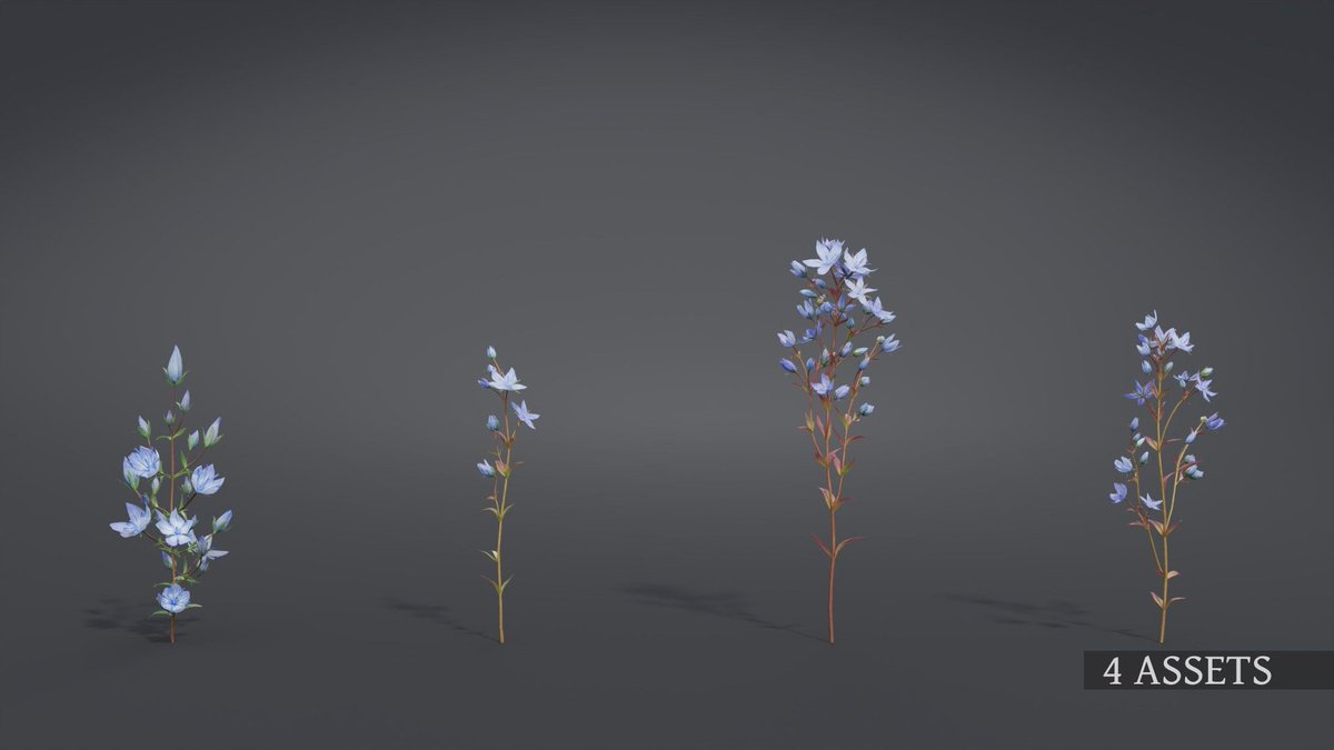 CgSuperb's tweet photo. This is a set of realistic wildflowers—Lomatogonium—with 7 differrent shapes, made with Blender 2.82. There are middle polys and low polys support close shots. 
https://t.co/LkvVzwJgwq
#3Dmodels  #Environment #Plants #Blender #Resources #3d #blender #3dmodeling #3danimation https://t.co/xlgWwwFFkT