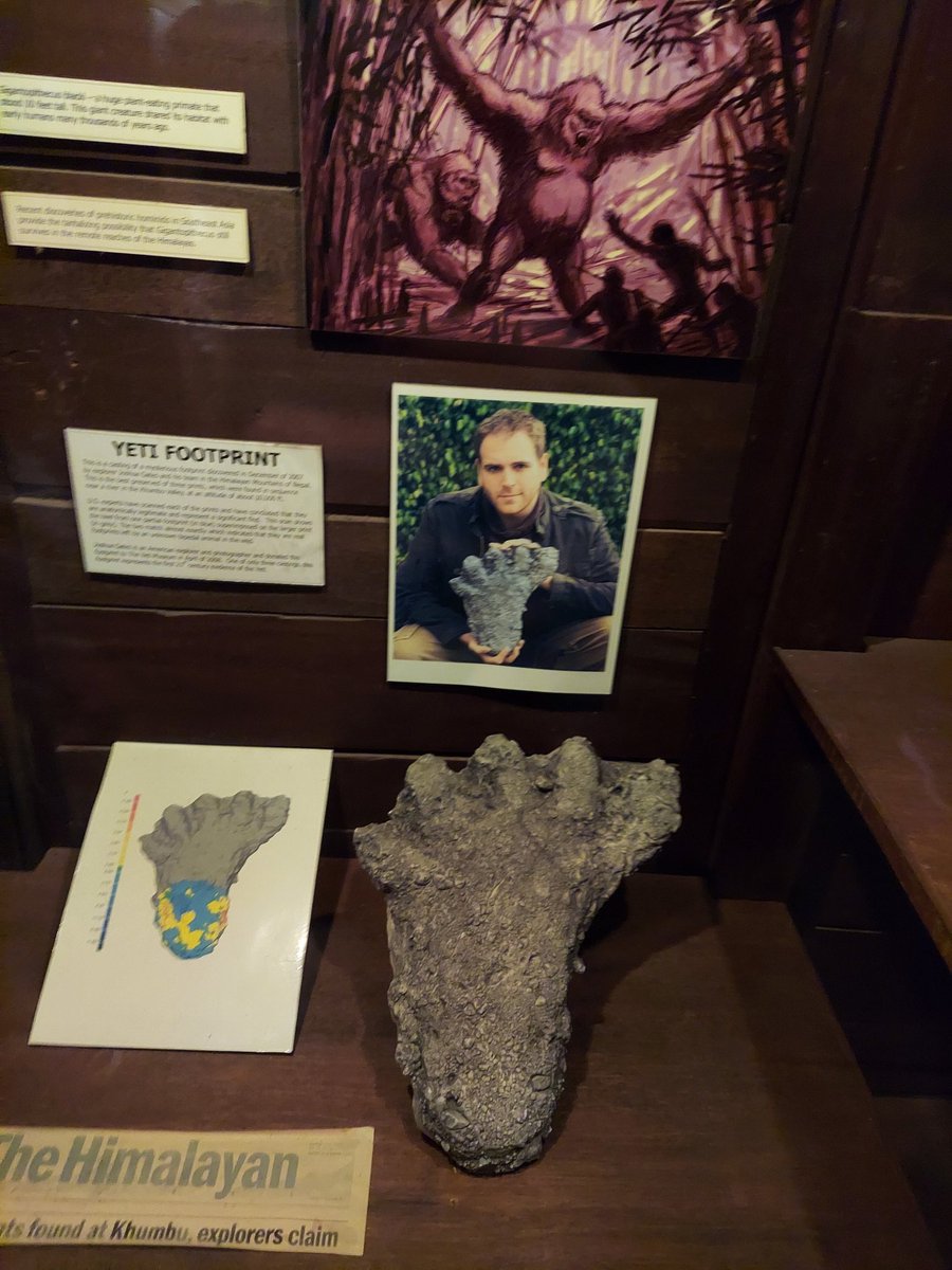 TheIcewagon's tweet photo. Josh, if you didn't already know.. This is a milestone you should be proud of. Disney World has your picture on the wall in the waiting line of Expedition Everest. Cheers @joshuagates https://t.co/mzqHhpYJ77