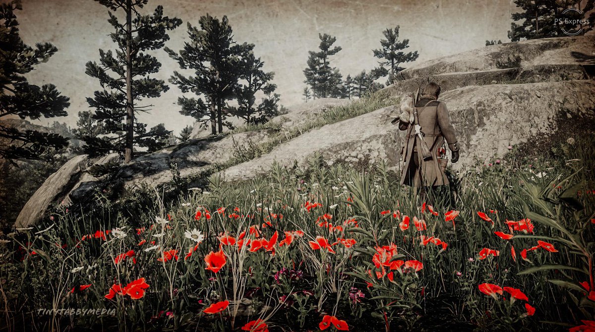 JonzKansz's tweet photo. Vintage Filters, Red Dead Redemption 2. 🖤🤠🖤
#reddeadphotography #RockstarGames #outlawsforlife #photoexpress #lightroom #tinytabbymedia #virtualphotography #reddeadredemption2 https://t.co/LngiXJPTtN
