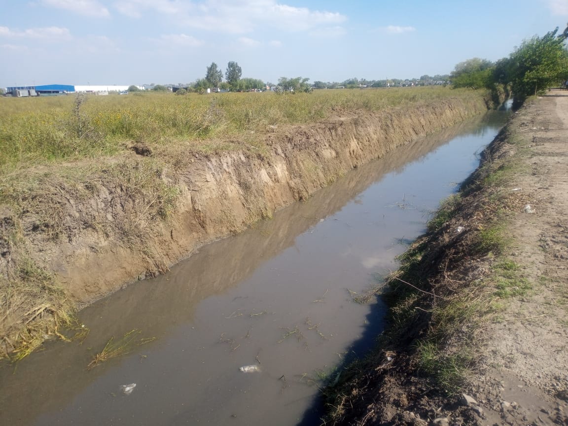 TigreSPublicos's tweet photo. SANEAMIENTO EN BENAVÍDEZ

Realizamos la limpieza del zanjón de las calles La Rioja, Beltrán y General Pacheco. Las tareas incluyen retiro se sedimentos, barro y basura, desmalezamiento y construcción del talud en una extensión de 2 kilómetros 
@BenavidezSur https://t.co/hLeAolv7fr