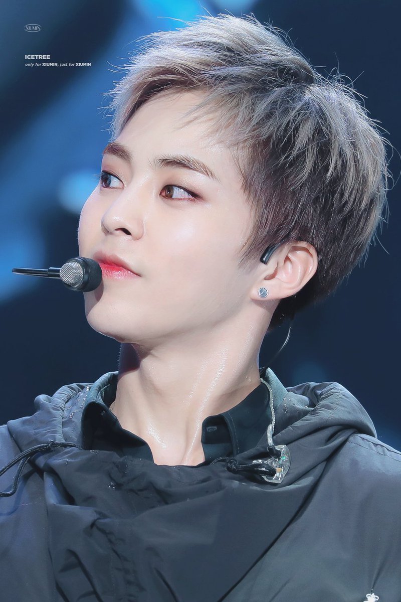얼음나무 / ICE TREE 🦋 tweet media