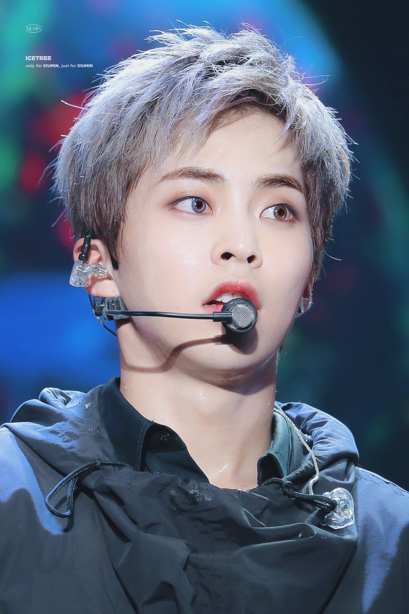 얼음나무 / ICE TREE 🦋 tweet media