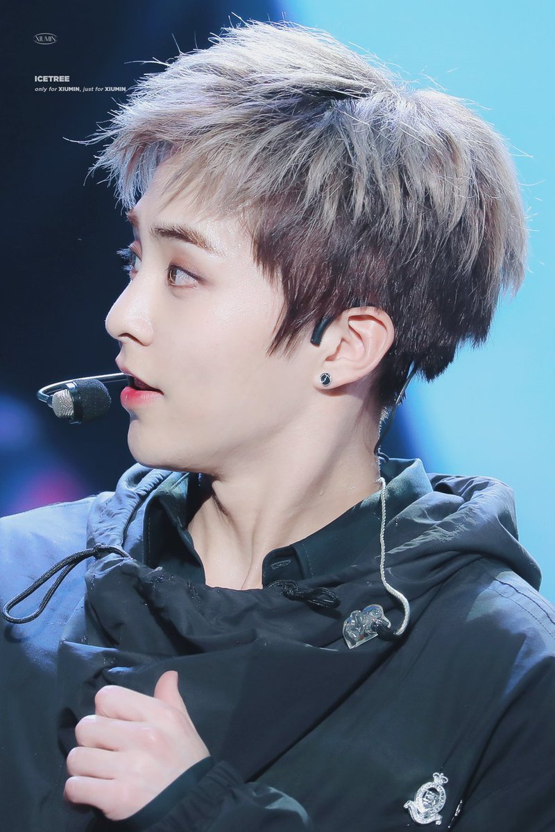 얼음나무 / ICE TREE 🦋 tweet media