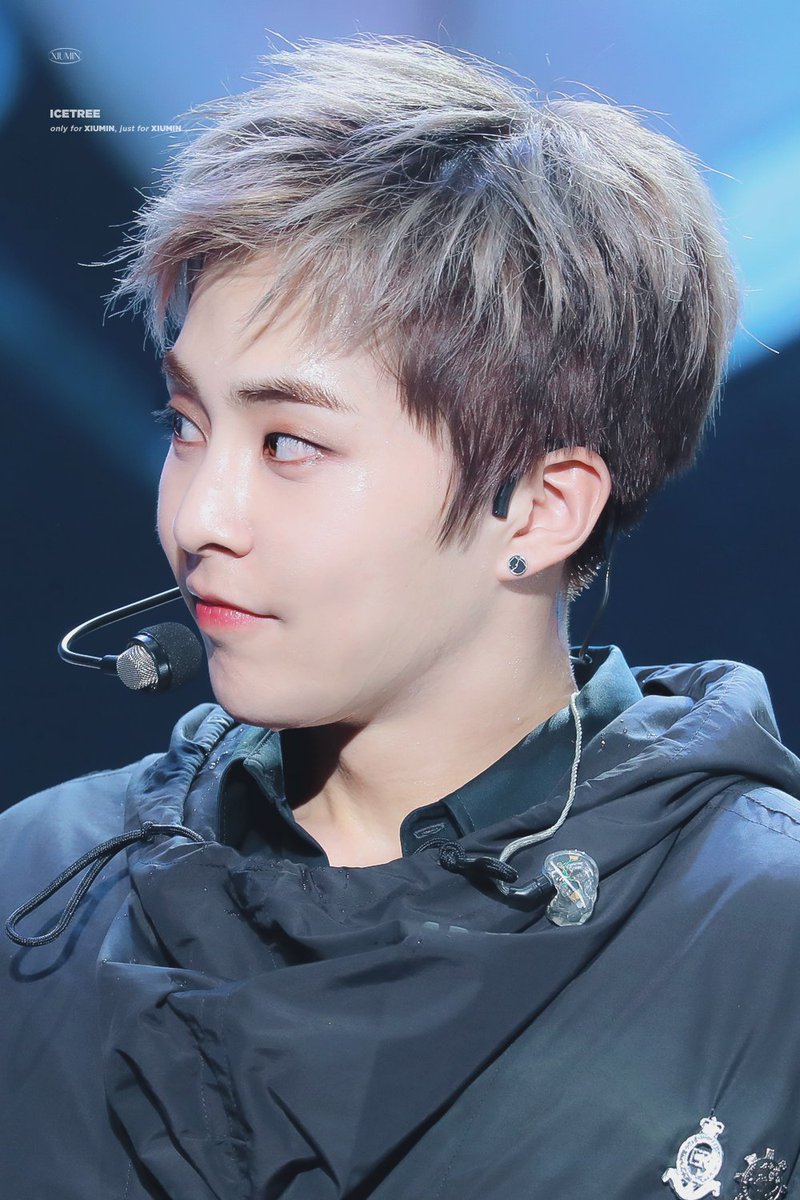 얼음나무 / ICE TREE 🦋 tweet media