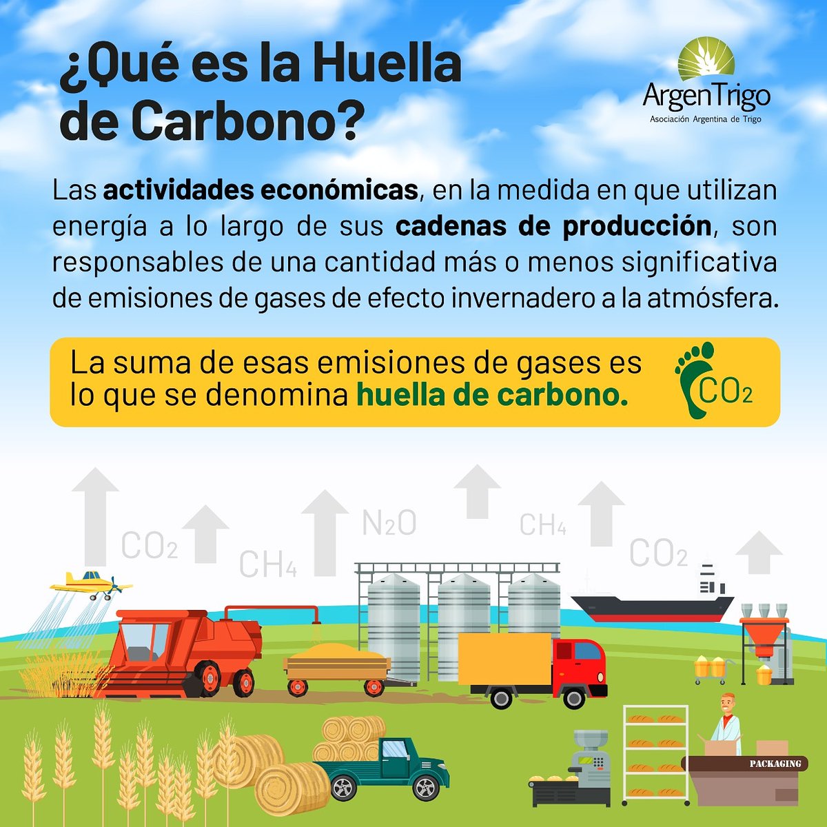 ArgenTrigo's tweet photo. ❓❔¿Qué es la huella de carbono? ❓❔

🤓 La suma de las emisiones de gases de efecto invernadero, es lo que denominamos 👣 HUELLA DE CARBONO 👣

#huelladecarbono #carbono #carbononeutro #trigo #secuestrodecarbono https://t.co/zGoGVHpqD7