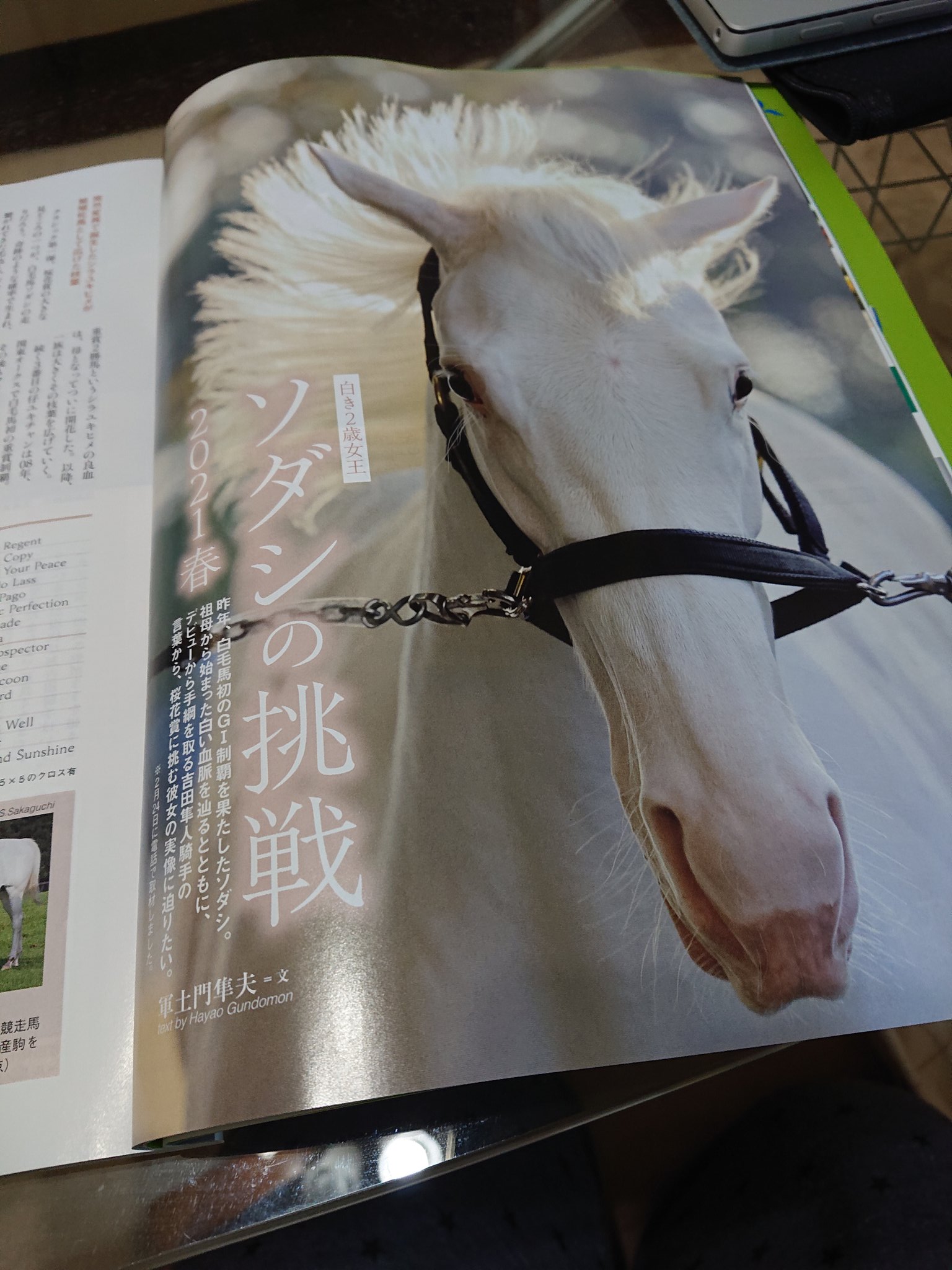 優駿　２０１８年３月から１１月、２０１９年１月、２月号 Amazon.co.jp: 優駿 2018年 01 月号 [雑誌] : 本