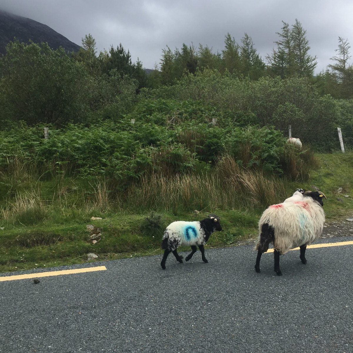 Bienvenue dans la société du contenu. 

"Notre usage naïf du mot « contenu » nous ôte la capacité de questionner l’inversion de la démarche créative. Nous devenons, sans le savoir les complices des plateformes."  

Le dernier article d'<a href="/ArthDeG/">Arthur De Grave</a> : stroika.paris/publications/d…