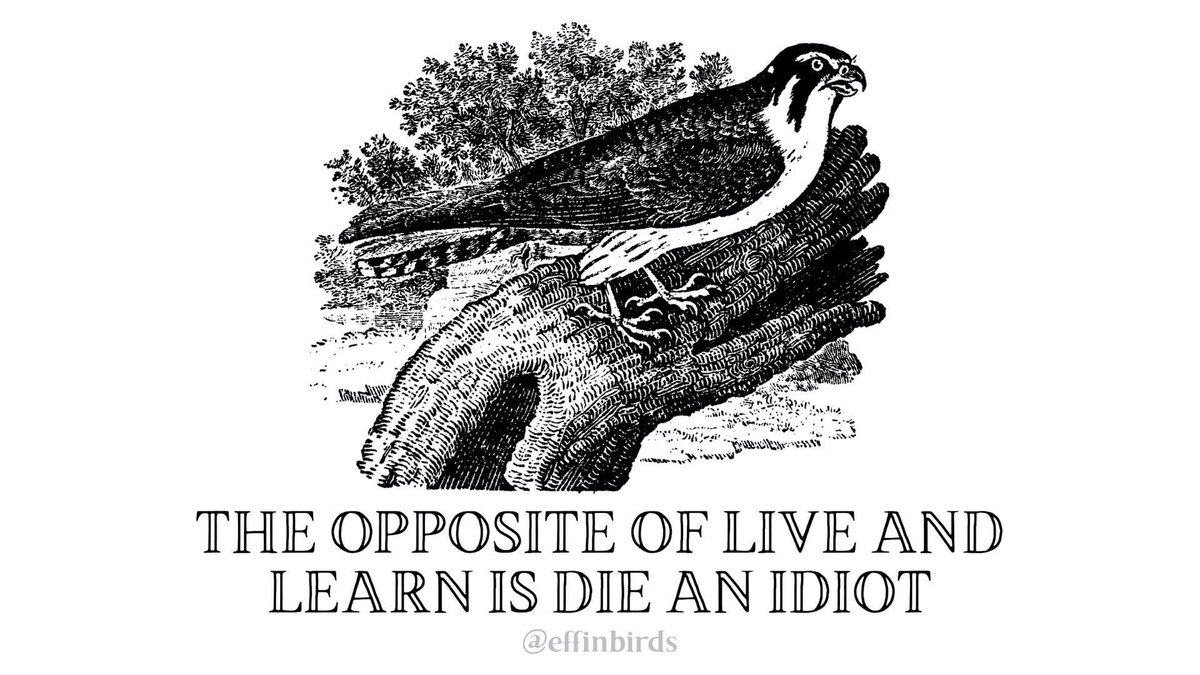A woodcut of a hobby above the text "the opposite of live and learn is die an idiot"